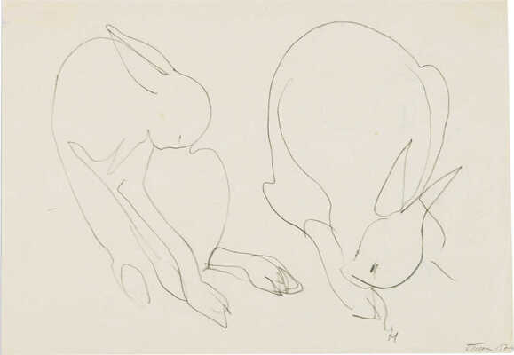 Шишмарёва Татьяна Владимировна. Кролики